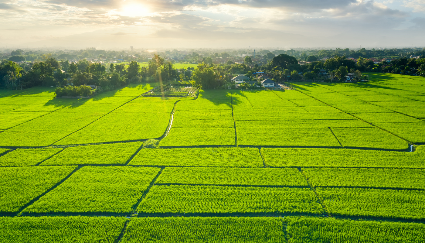 GODREJ PLOTS SAMRUDDHI MAHAMARG Image 1